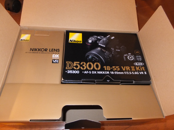 Nikon(ニコン) D5300 ダブルズームキット購入レビュー | ホームページ 