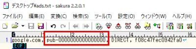 Google AdSense ads.txt