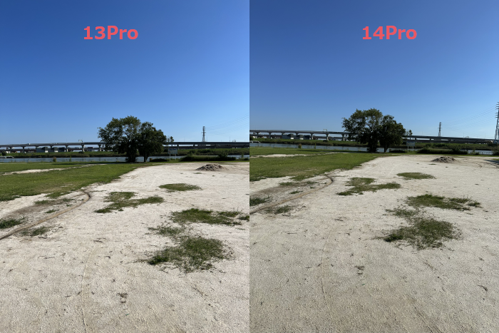 iPhone 14 Proと13 Proの撮影１倍での比較