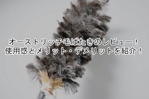 オーストリッチ毛ばたき（ダチョウ羽根はたき）のレビュー！車のほこり取り目的で購入！使用感とメリット・デメリットを紹介！
