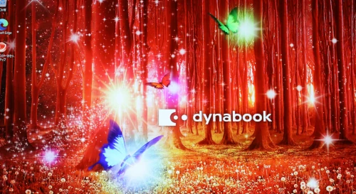 ローカルアカウントでログインした様子