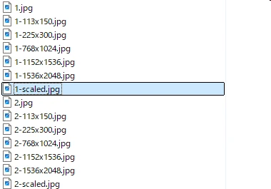 1-scaled.jpgの様子